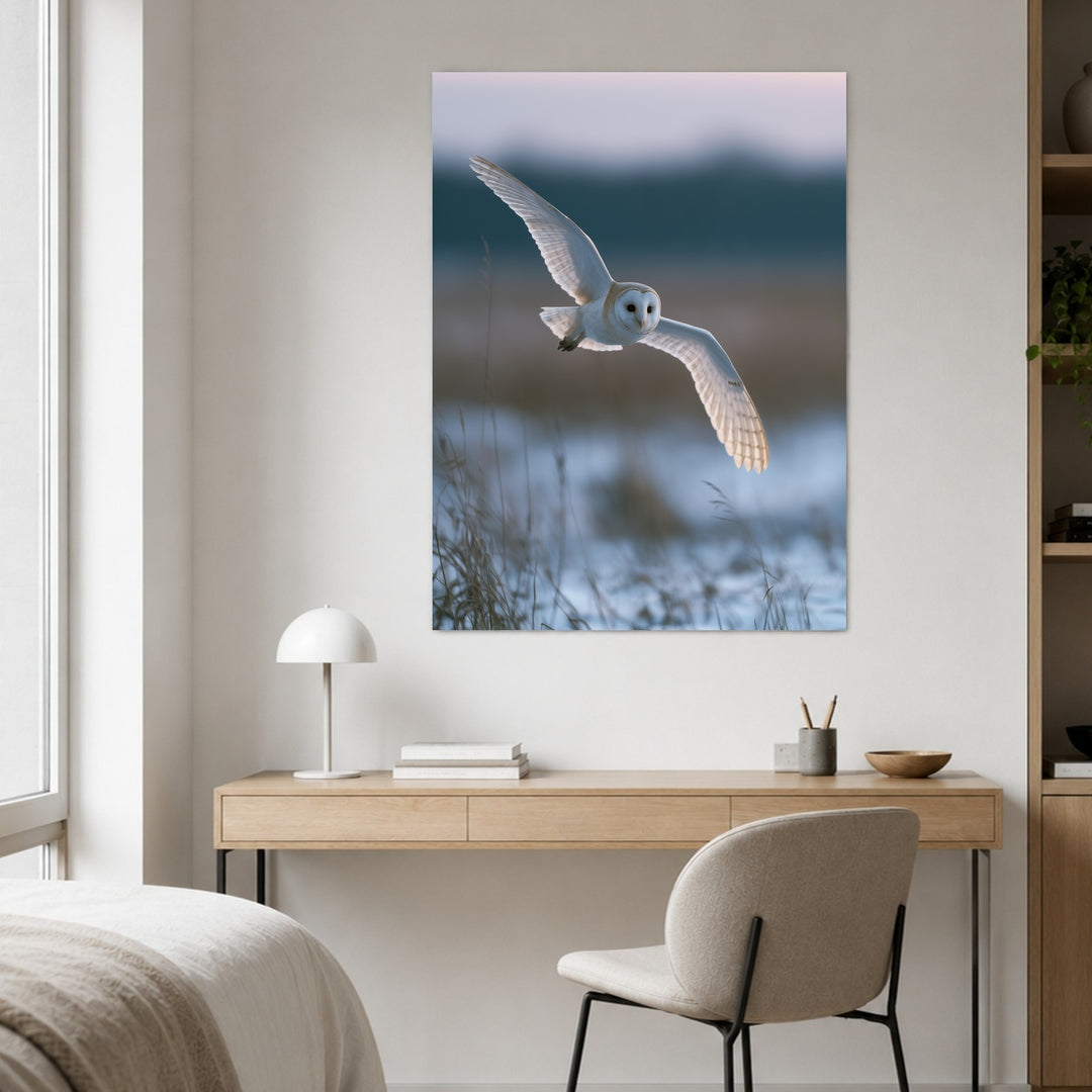 Schleiereule im Winterflug Poster – Ohne Rahmen – Produktfoto