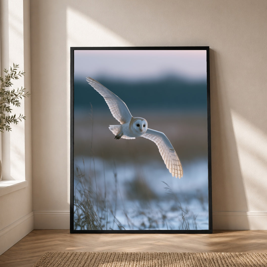 Schleiereule im Winterflug Poster – Schwarzer Rahmen – Produktfoto