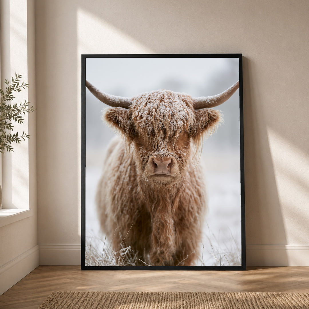 Hochlandrind im Schnee Poster – Schwarzer Rahmen – Wohnzimmer Mockup