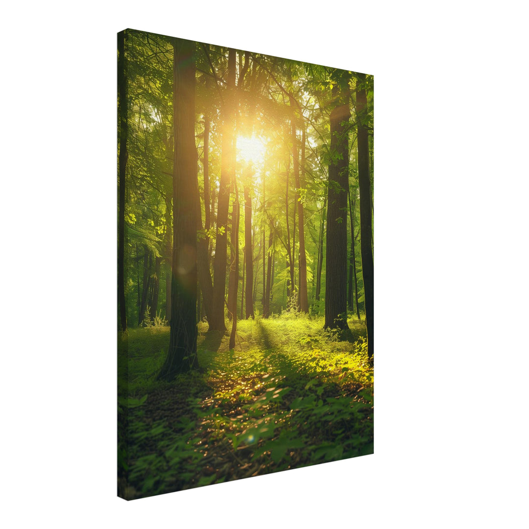 Sonnenlicht im Wald Leinwandbild abstrakt – Leinwand auf Holzrahmen – Ansicht 2