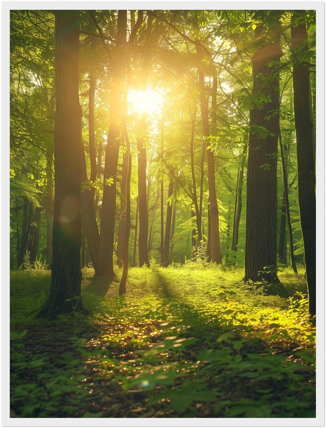 Sonnenlicht im Wald Poster abstrakt – mattes Kunstdruck-Papier – Ansicht 6