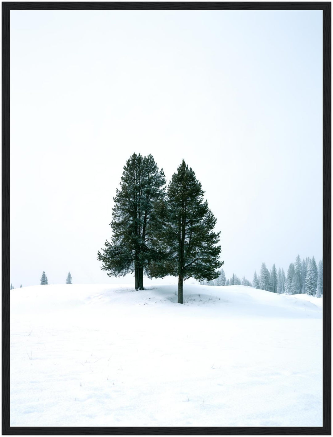 Zwei Tannen im Schnee Poster – Schwarzer Rahmen – Produktfoto