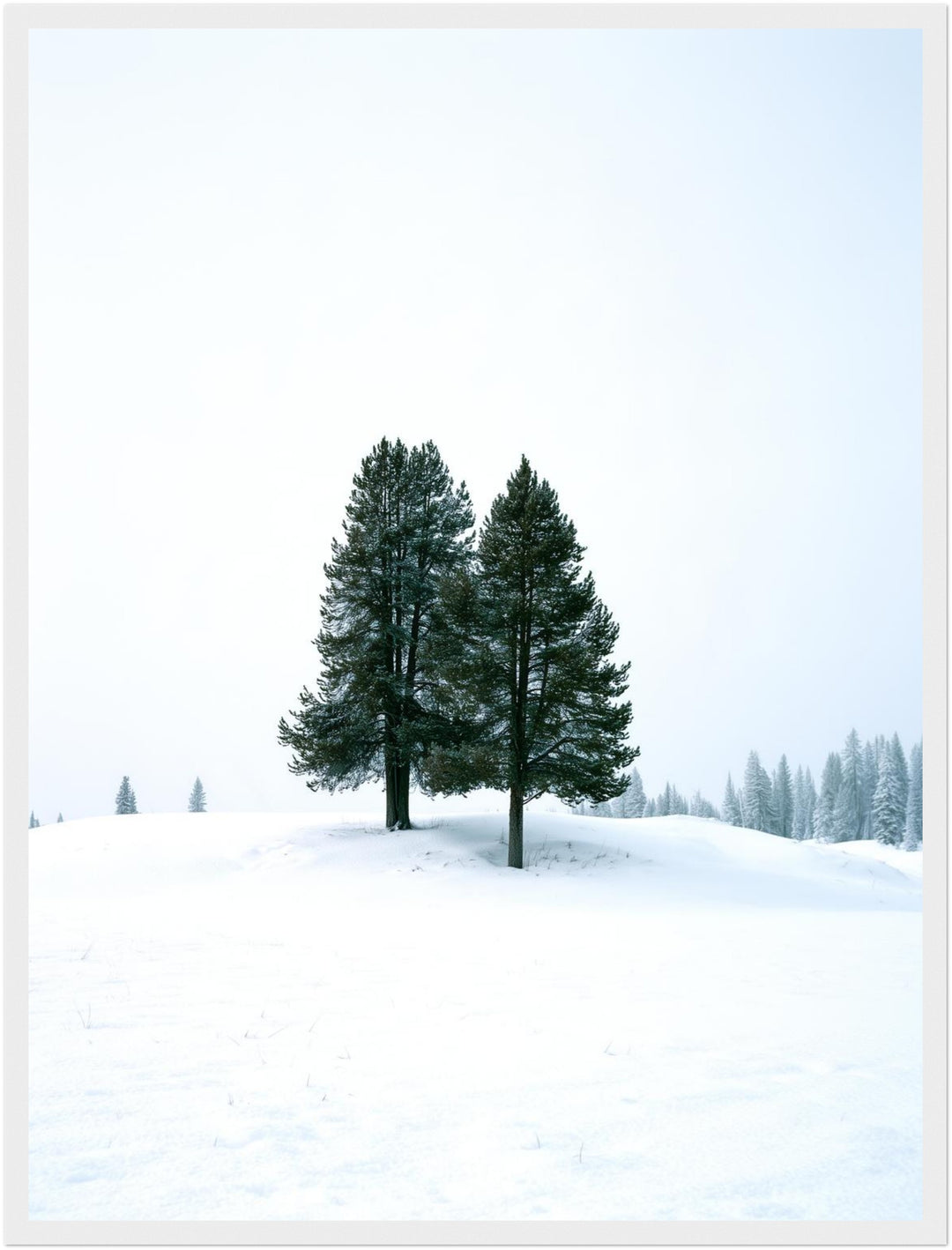 Zwei Tannen im Schnee Poster – Weißer Rahmen – Produktfoto