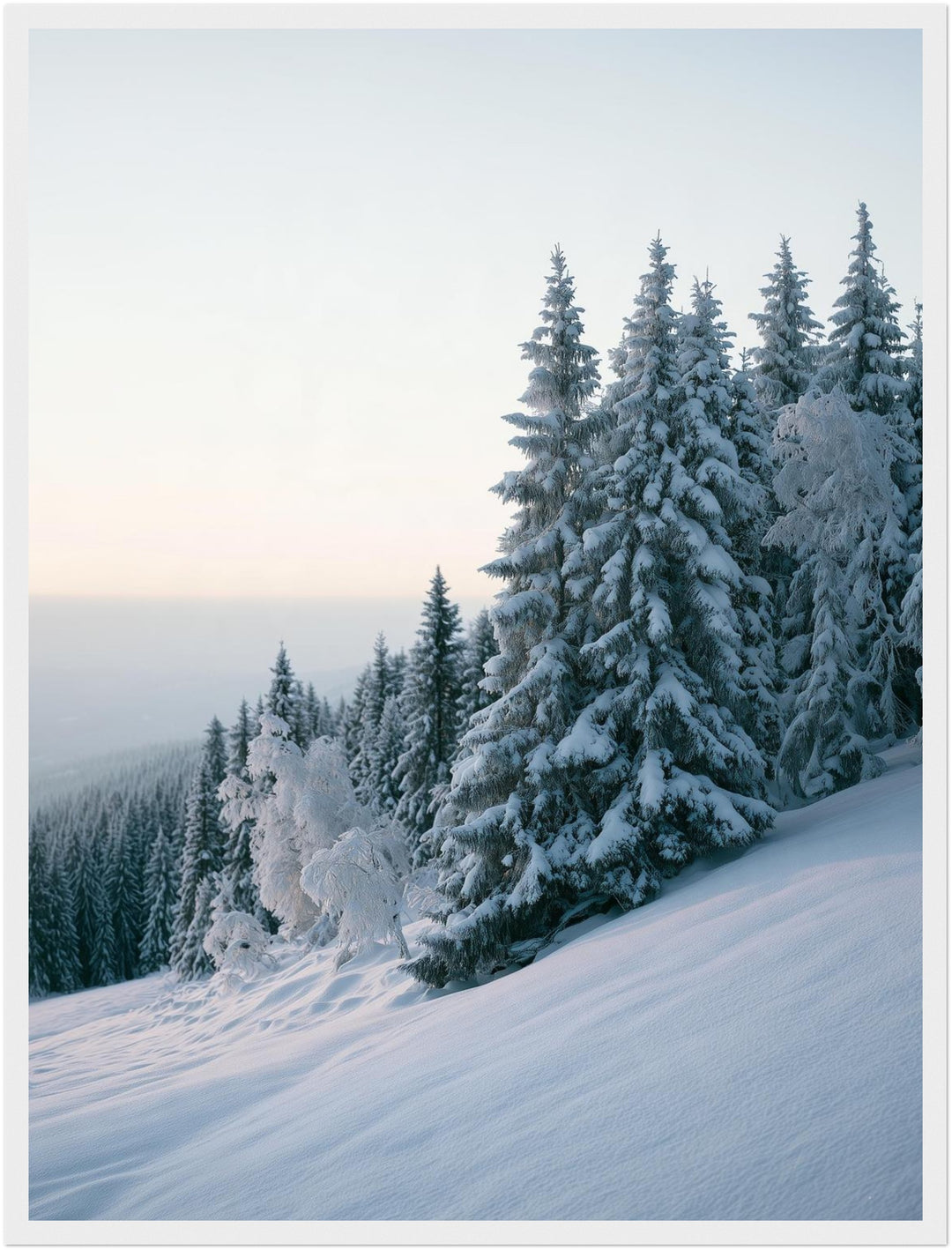Winterwald im Schnee Poster – Weißer Rahmen – Produktfoto