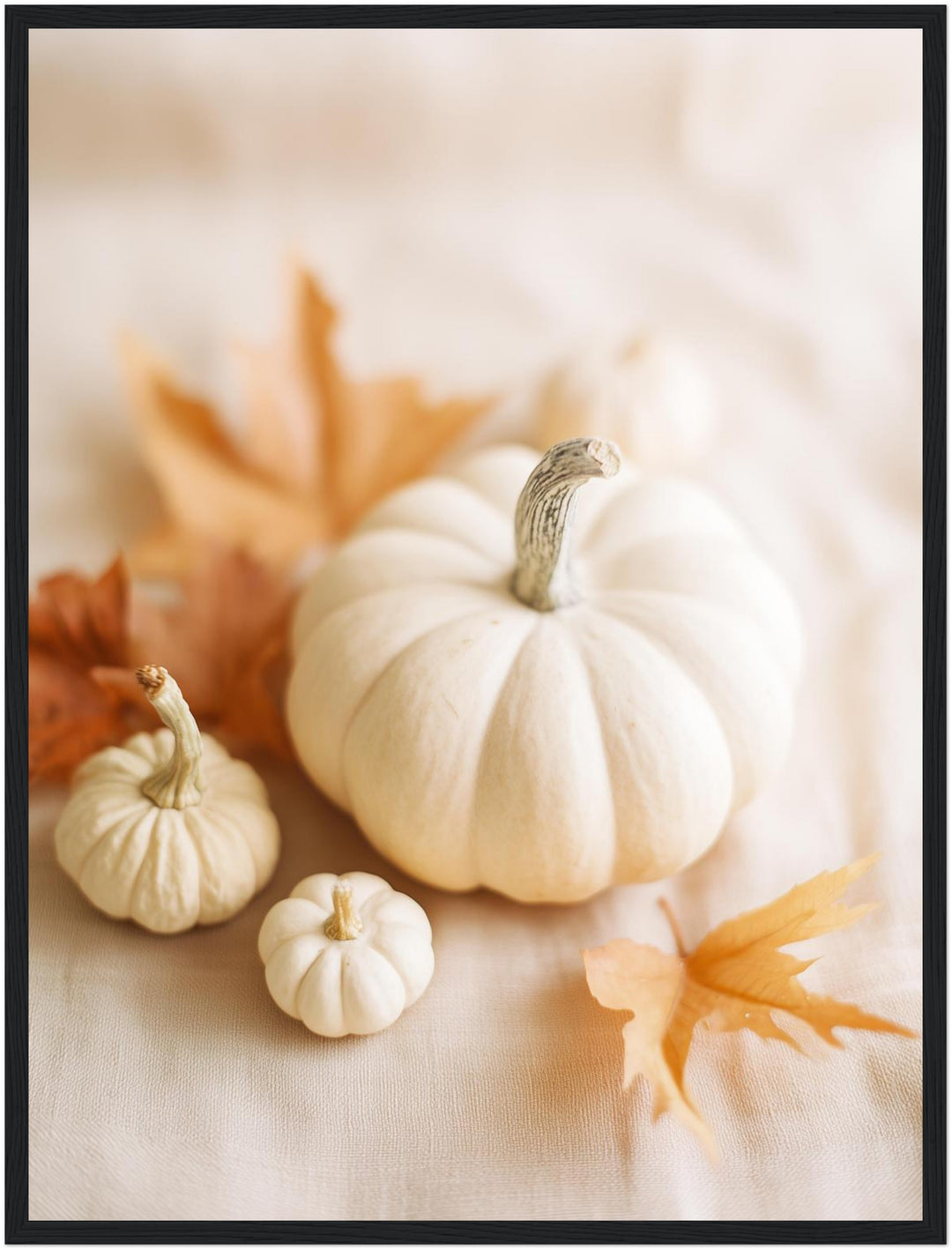 Weiße Kürbisse im Herbst Poster – Schwarzer Rahmen – Produktfoto