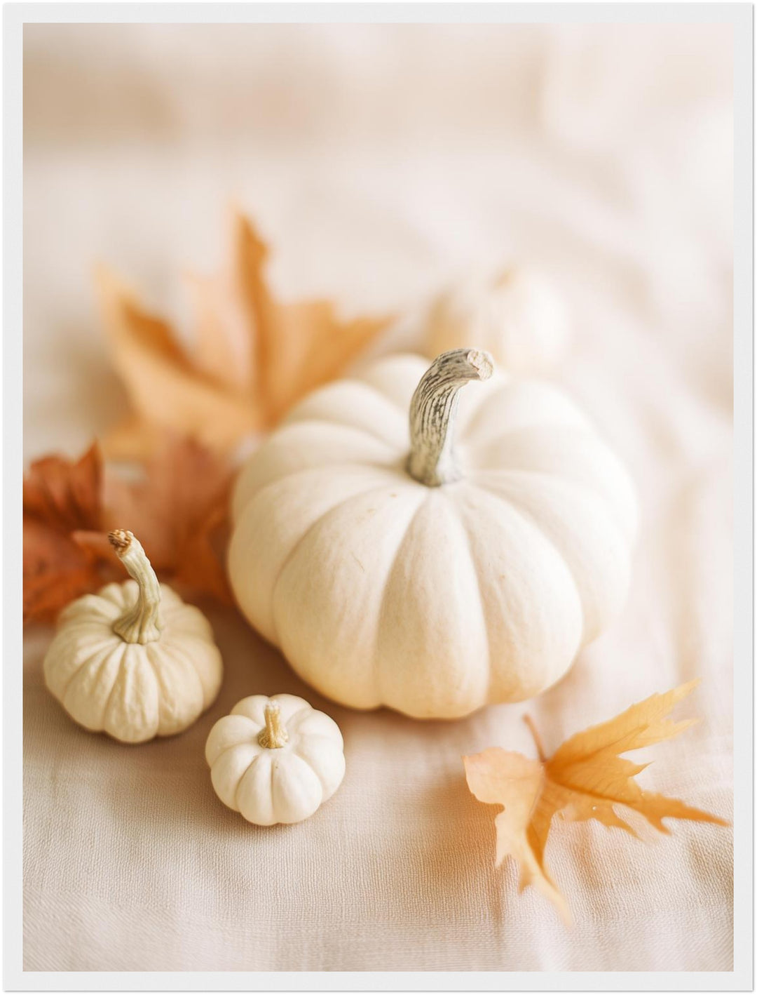 Weiße Kürbisse im Herbst Poster – Weißer Rahmen – Produktfoto