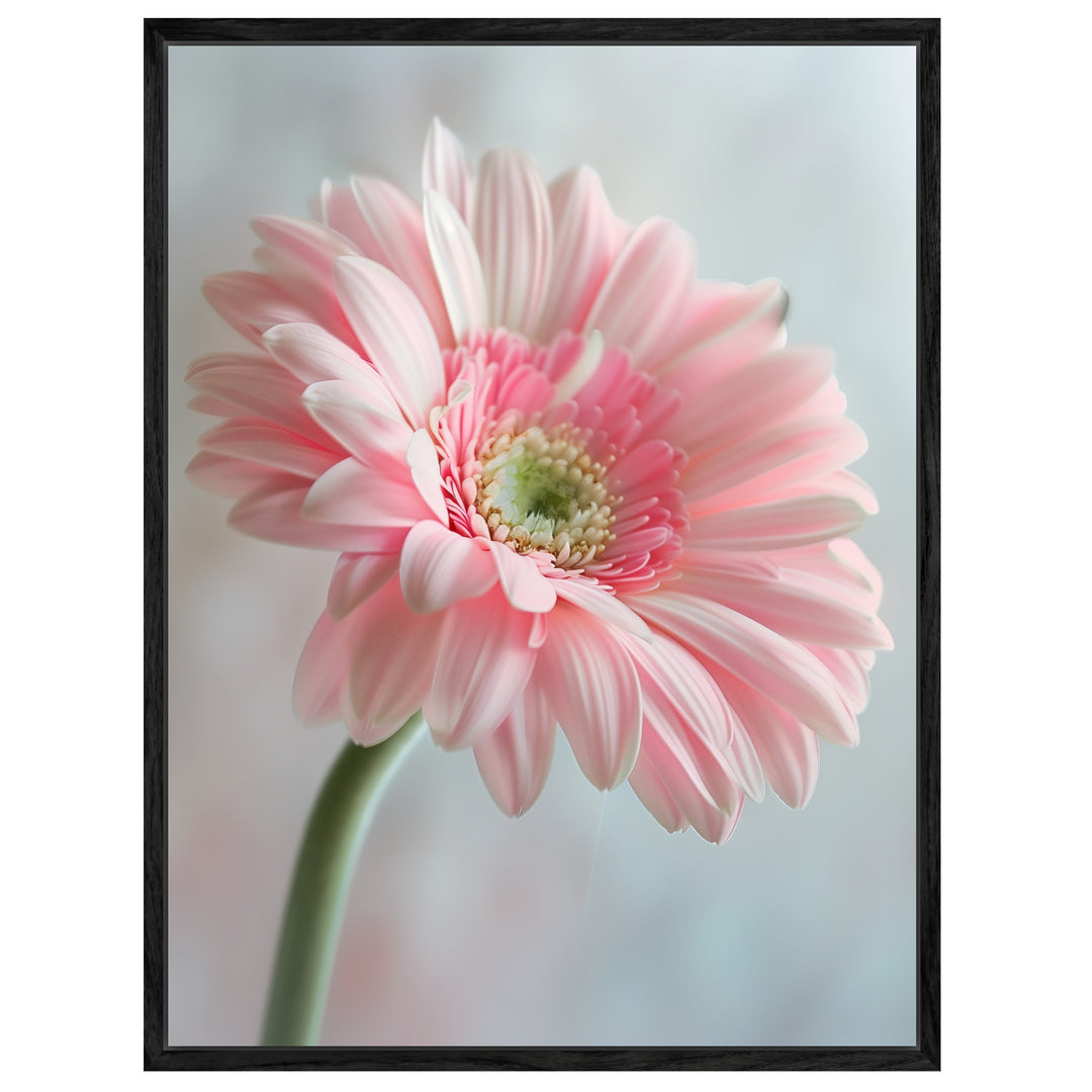 Rosa Gerbera Nahaufnahme Leinwand Landschaft – Leinwand auf Holzrahmen – Ansicht 4