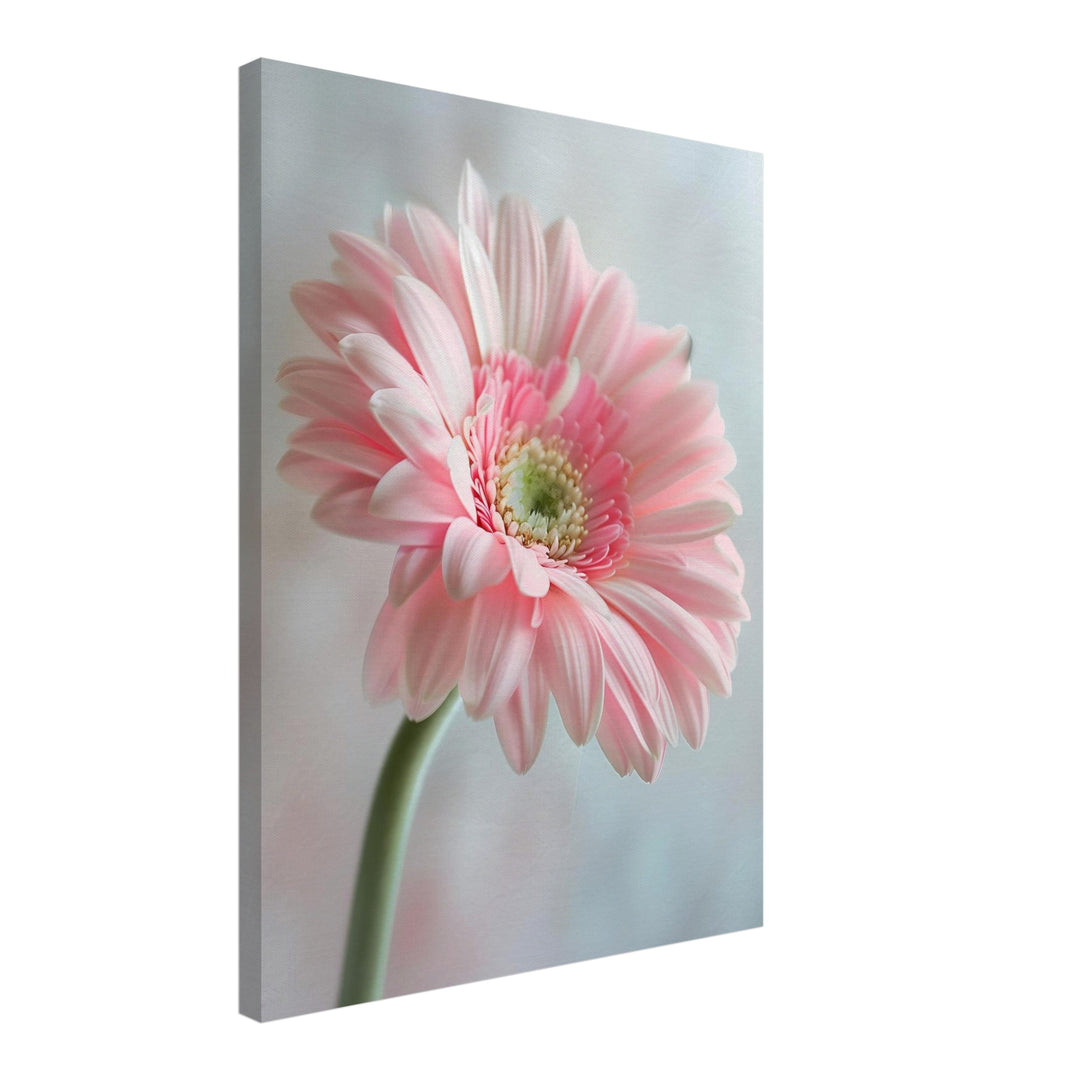 Rosa Gerbera Nahaufnahme Leinwand Landschaft – Leinwand auf Holzrahmen – Ansicht 2