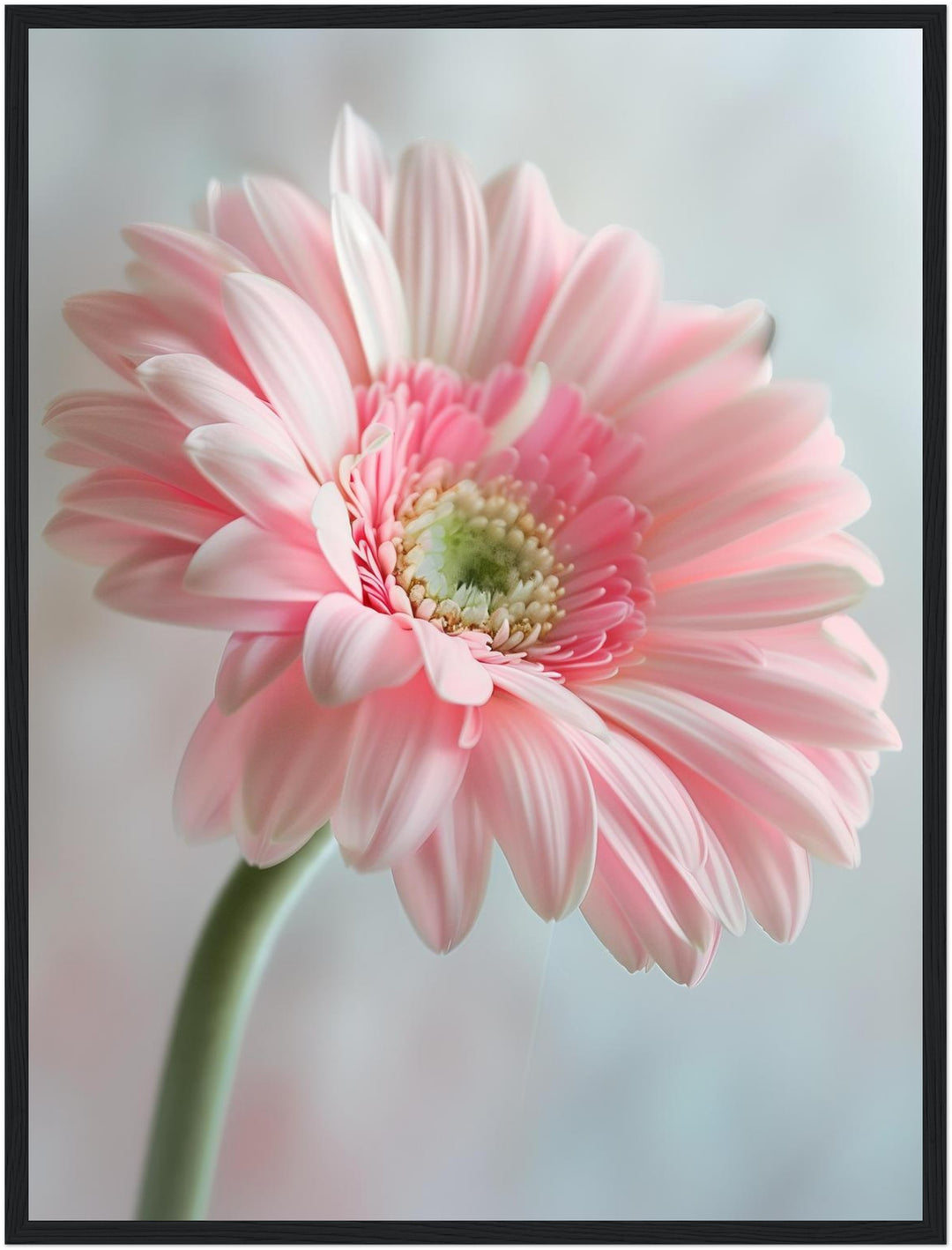 Rosa Gerbera Nahaufnahme Poster Landschaft – mattes Kunstdruck-Papier – Ansicht 5