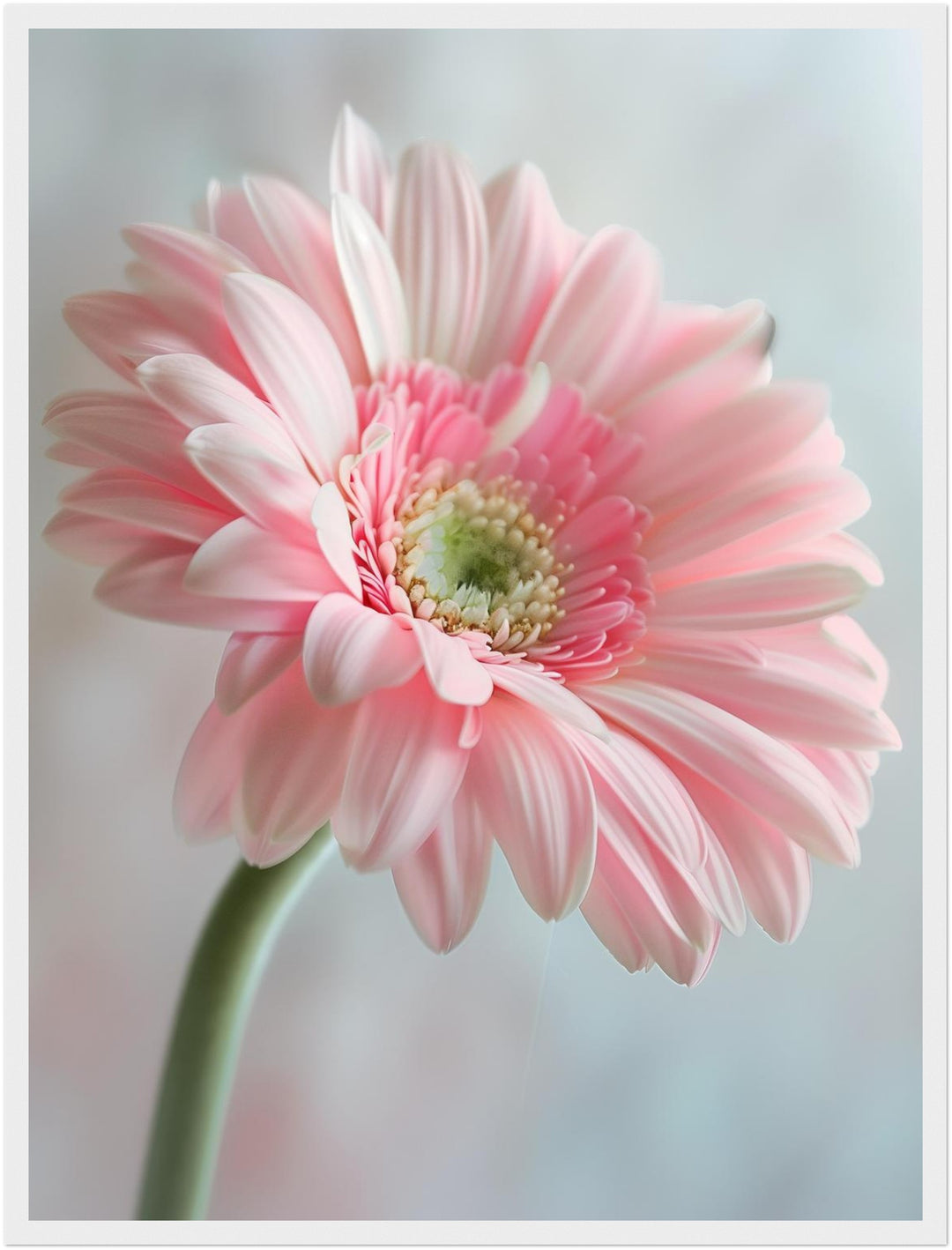 Rosa Gerbera Nahaufnahme Poster Landschaft – mattes Kunstdruck-Papier – Ansicht 6