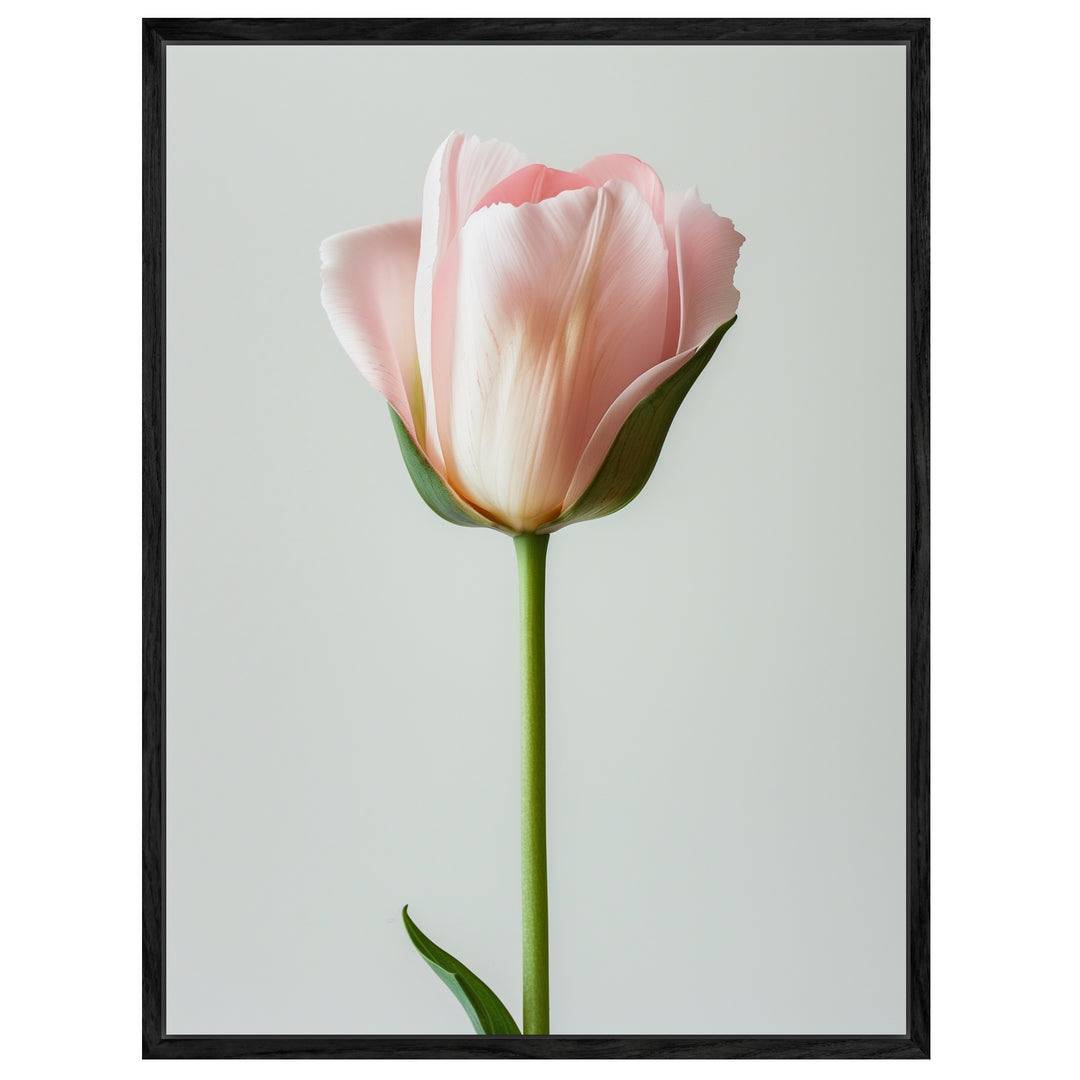 Rosa Tulpe einzeln Leinwand Landschaft – Leinwand auf Holzrahmen – Ansicht 4