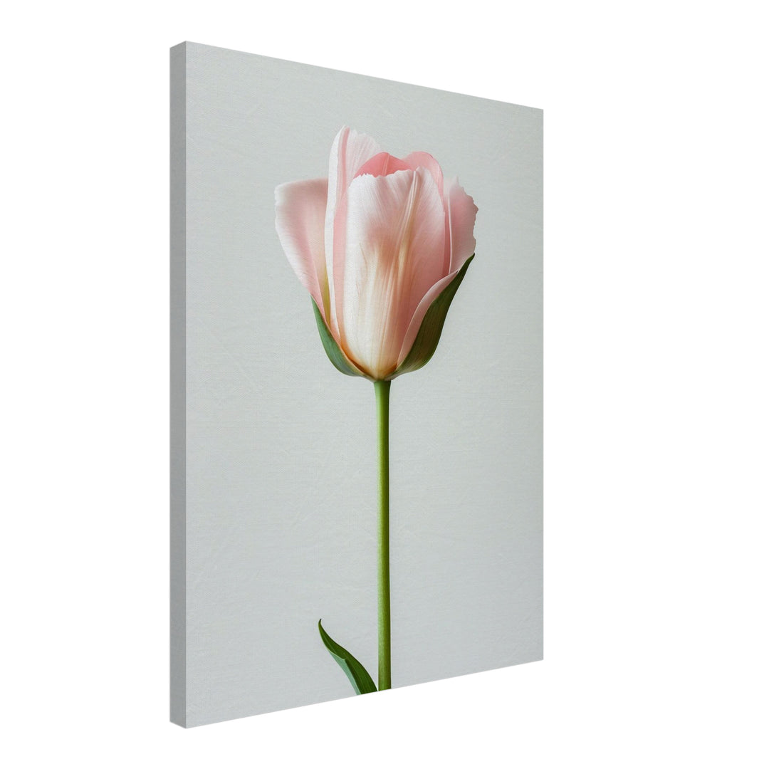 Rosa Tulpe einzeln Leinwand Landschaft – Leinwand auf Holzrahmen – Ansicht 2