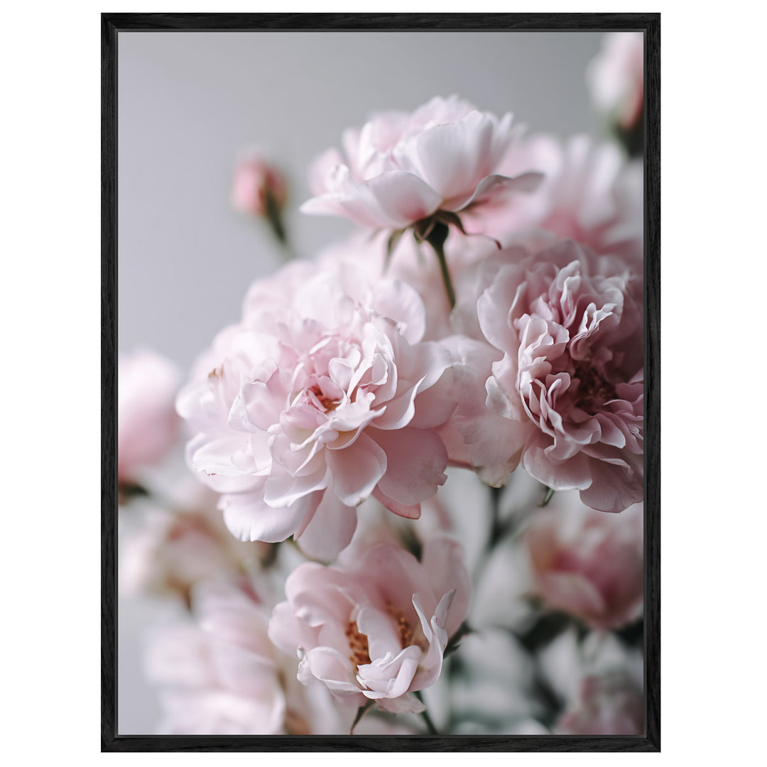 Zartrosa Gartenrosen Leinwandbild abstrakt – Leinwand auf Holzrahmen – Ansicht 4