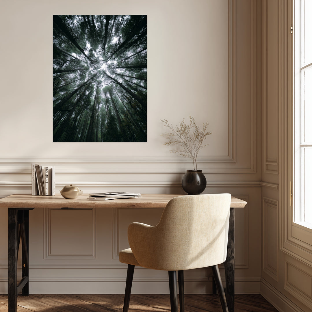 Zwischen Baumkronen Himmel Leinwandbild abstrakt – Leinwand auf Holzrahmen – Ansicht 3