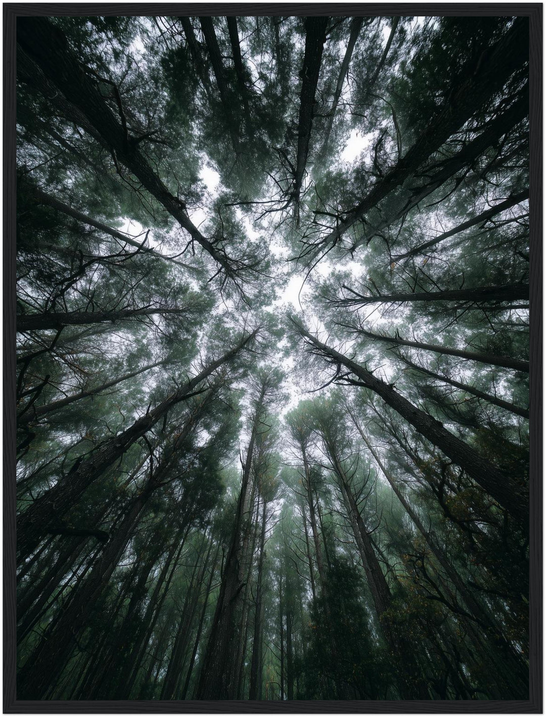 Zwischen Baumkronen Himmel Poster abstrakt – mattes Kunstdruck-Papier – Ansicht 6