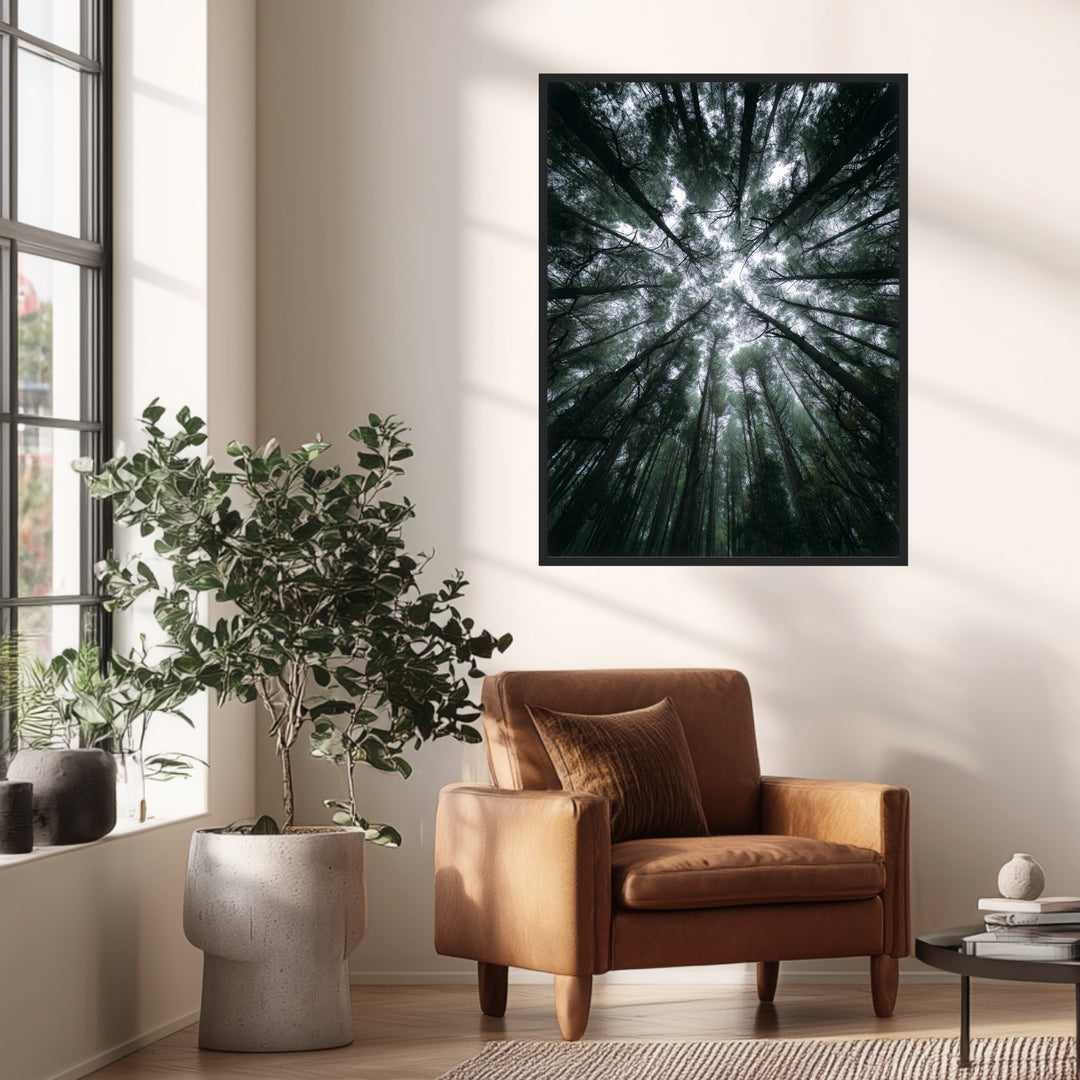 Zwischen Baumkronen Himmel Poster abstrakt – mattes Kunstdruck-Papier – Ansicht 3