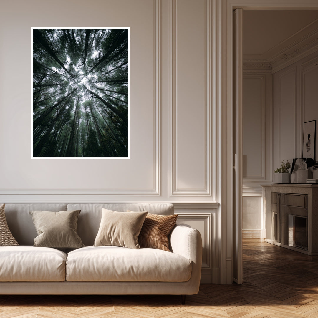 Zwischen Baumkronen Himmel Poster abstrakt – mattes Kunstdruck-Papier – Ansicht 4