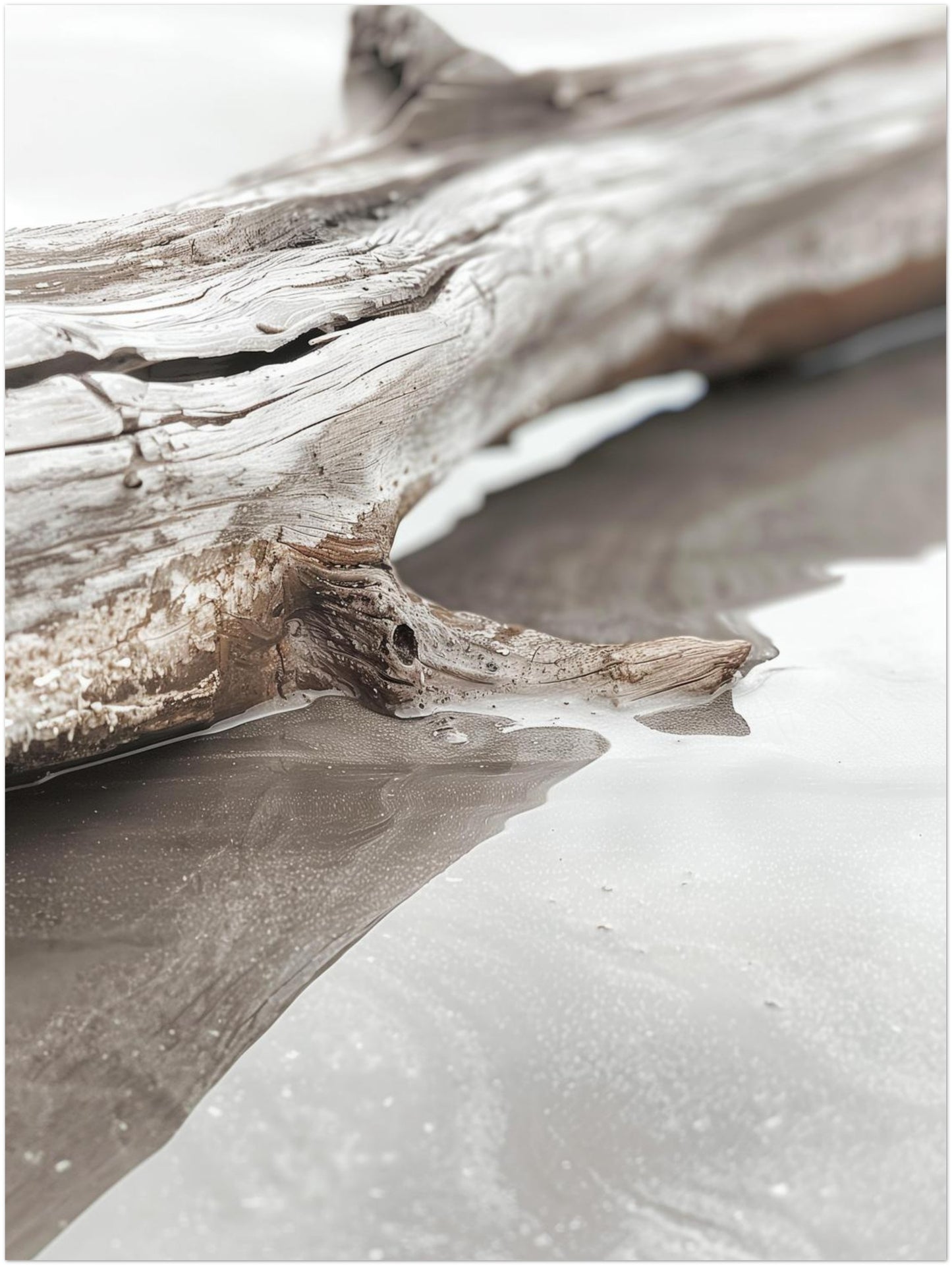 Verwittertes Treibholz am Strand Poster