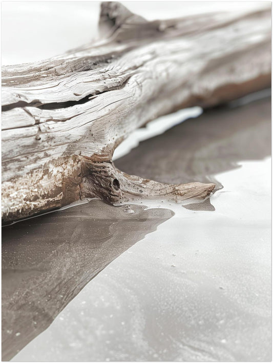 Verwittertes Treibholz am Strand Poster