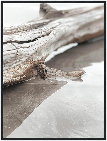 Verwittertes Treibholz am Strand Poster