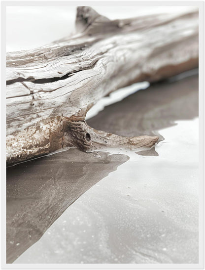 Verwittertes Treibholz am Strand Poster