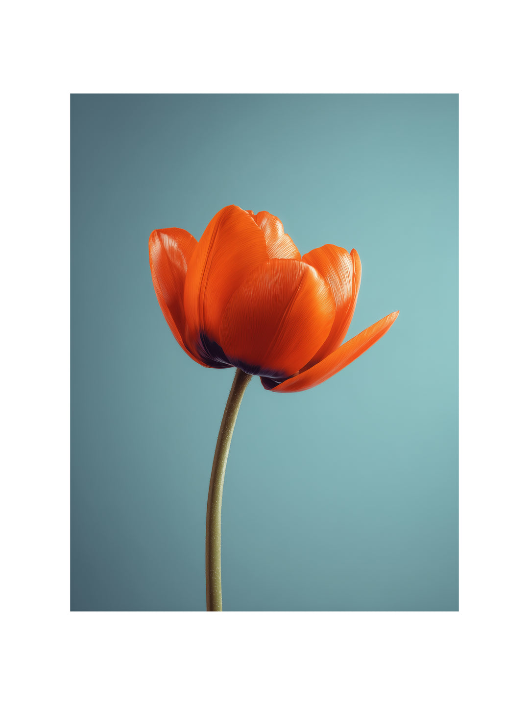 Orangene Tulpe Landschaft – Wandkunst
