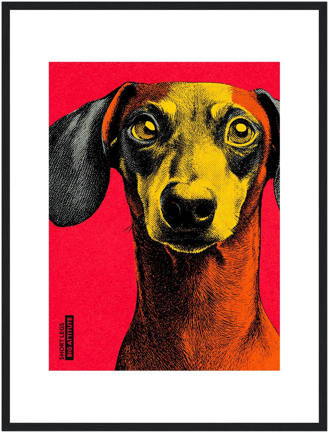 Dackel Poster Pop Art – mattes Kunstdruck-Papier – Ansicht 5