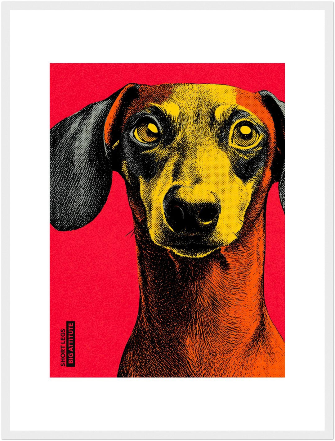 Dackel Poster Pop Art – mattes Kunstdruck-Papier – Ansicht 6