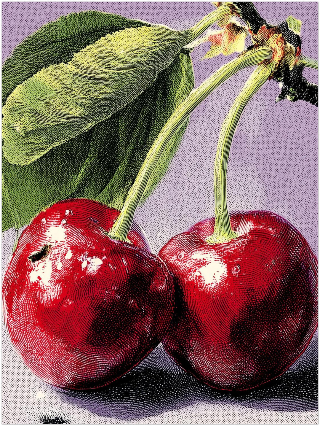 Kirschen im Pop Art Stil Pop Art – Wandkunst