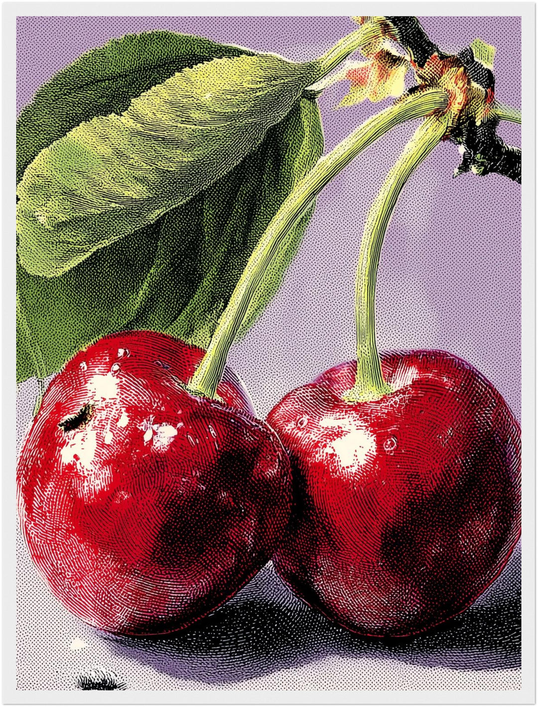 Kirschen im Pop Art Stil Poster Pop Art – mattes Kunstdruck-Papier – Ansicht 6