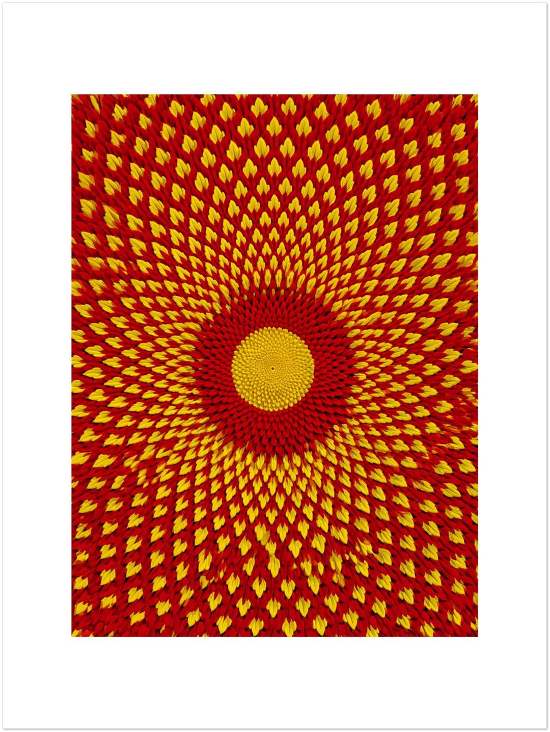 Goldenes Blütenrad psychedelisch Leinwandbild – Ohne Rahmen – Produktfoto