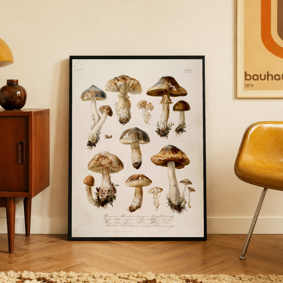 Botanische Pilze Vintage Poster – Schwarzer Rahmen – Produktfoto
