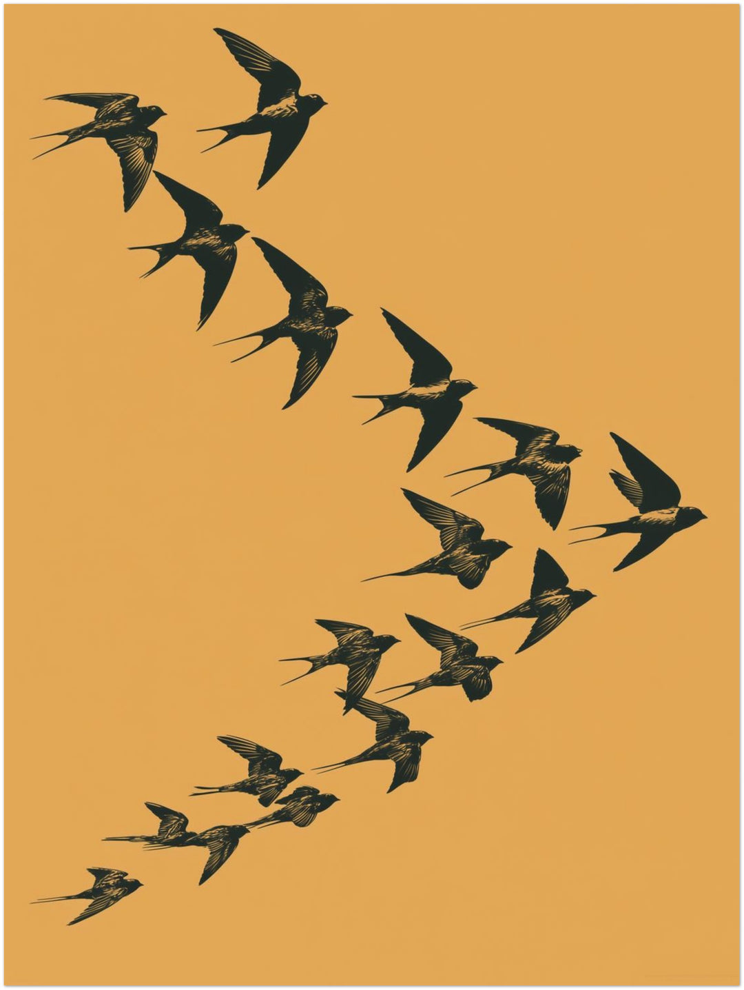 Schwalben im Flug Poster – Ohne Rahmen – Produktfoto