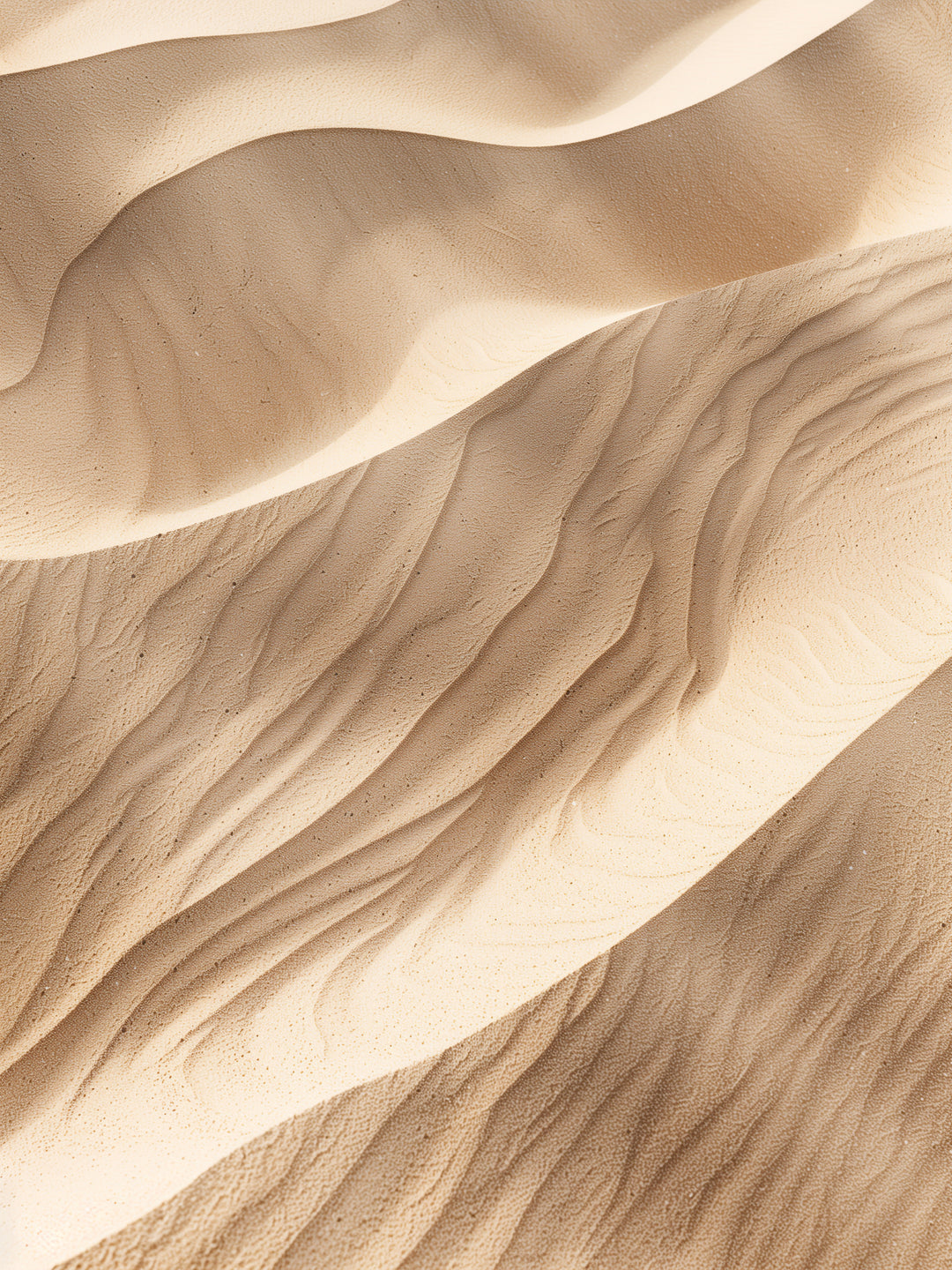 Sanfte Sanddünen im Licht  – Wandkunst