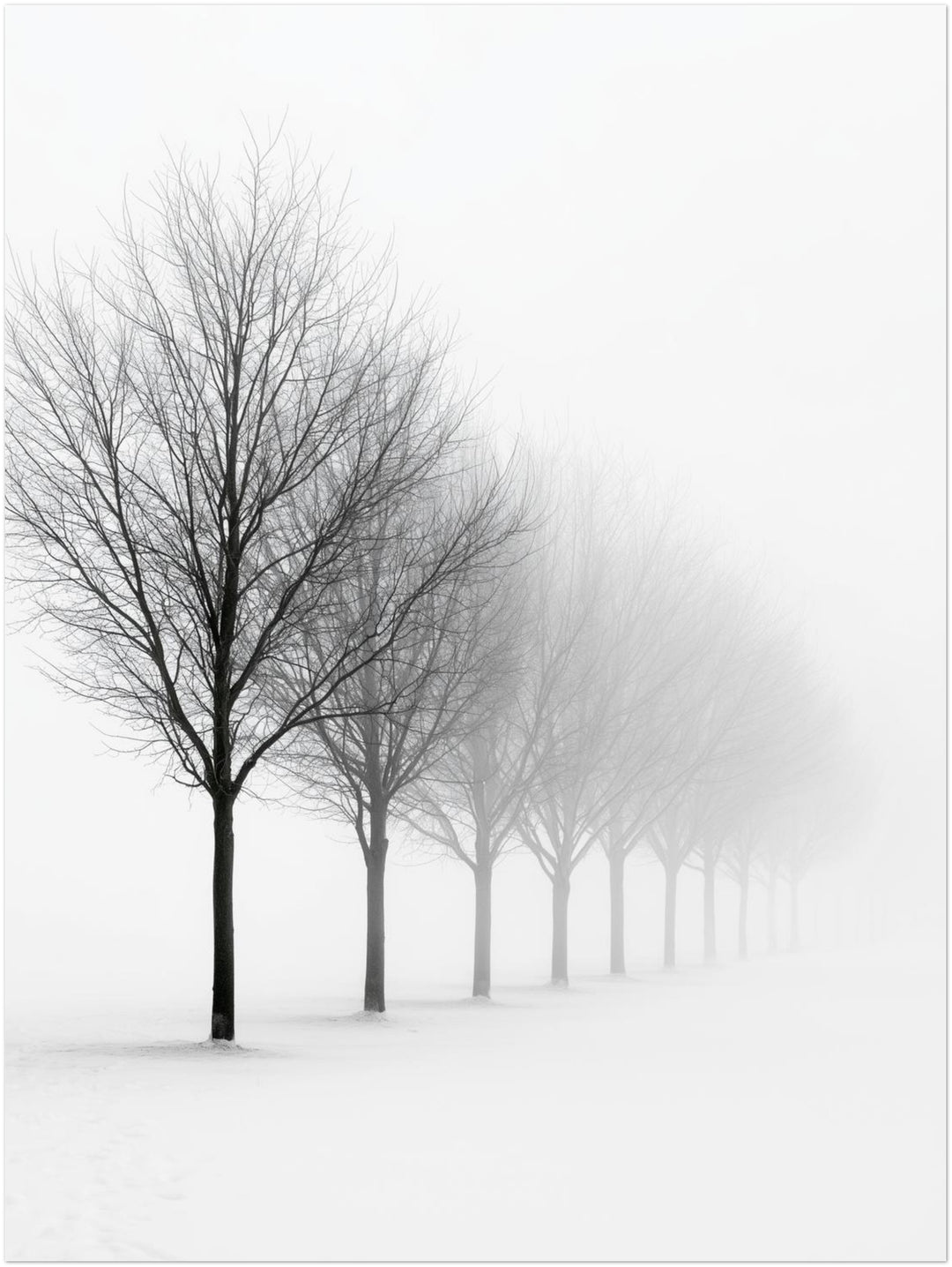 Baumreihe im Winternebel Poster – Ohne Rahmen – Produktfoto