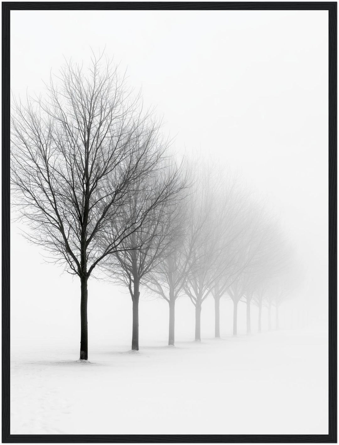 Baumreihe im Winternebel Poster – Schwarzer Rahmen – Produktfoto