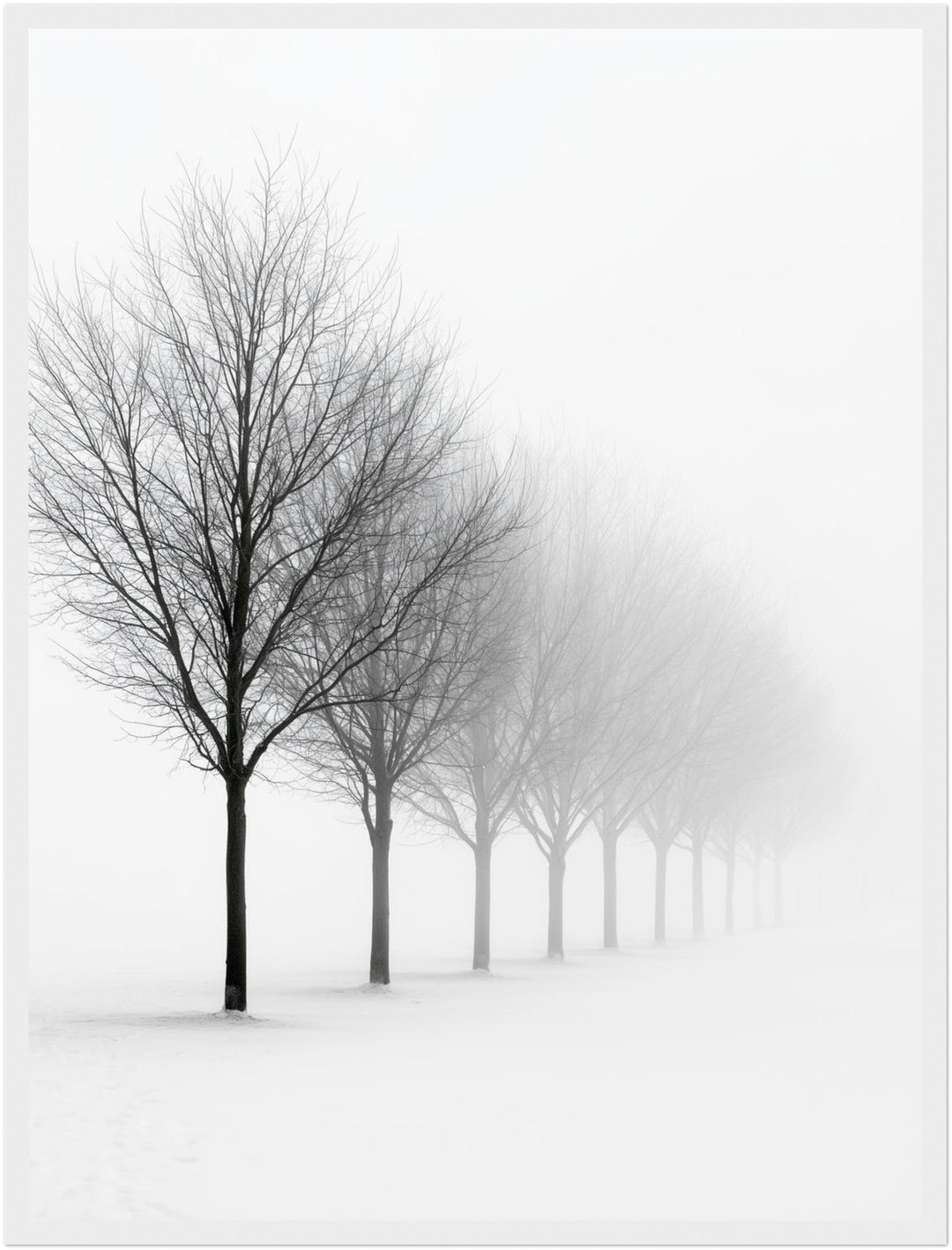Baumreihe im Winternebel Poster – Weißer Rahmen – Produktfoto