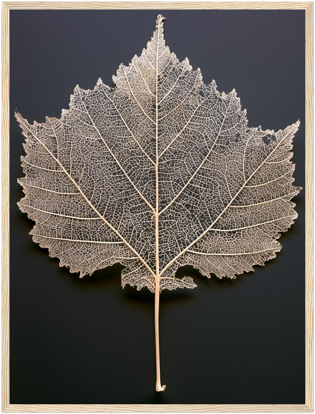 Blattgerippe in Schwarz-Weiß Poster – Holz natur Rahmen – Produktfoto