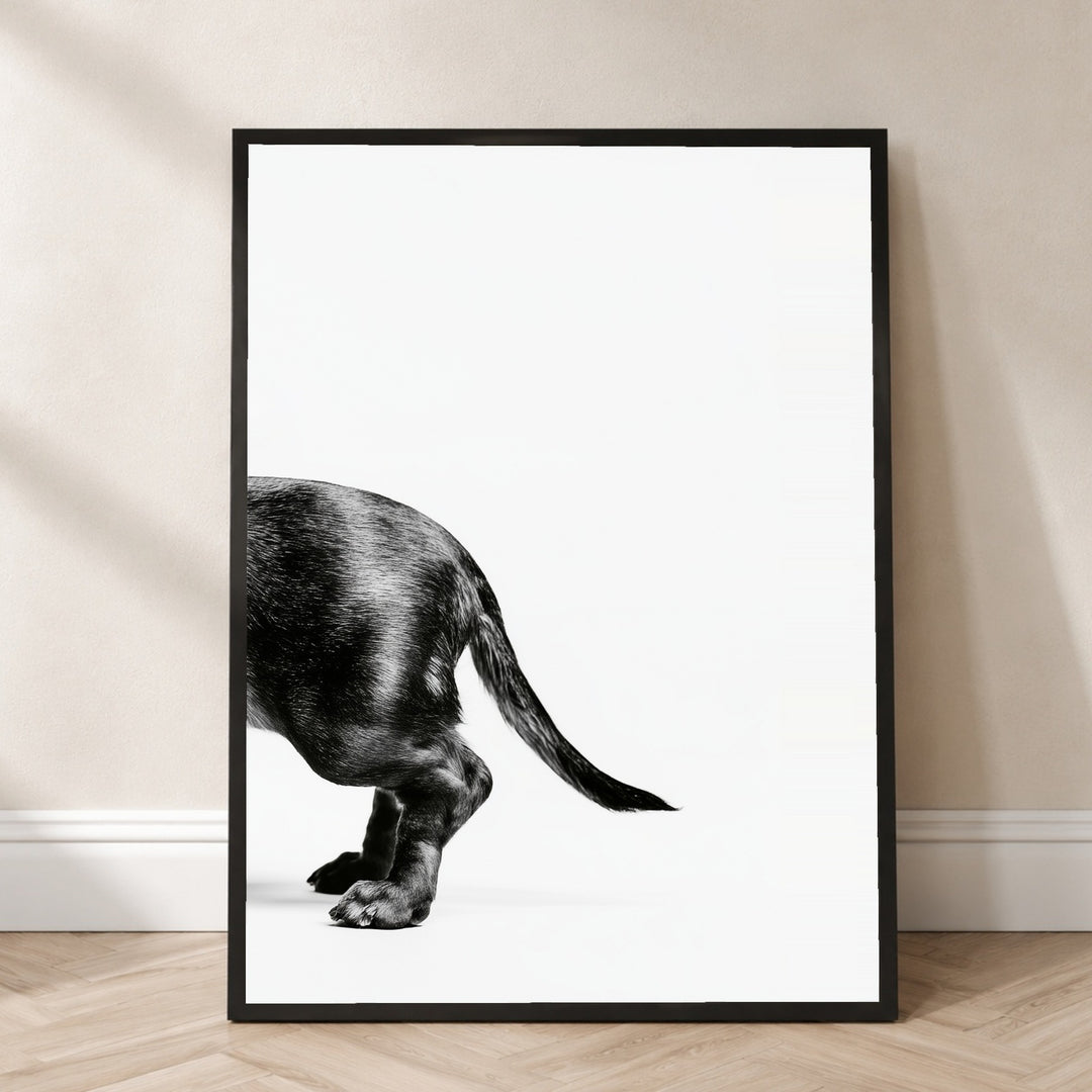 Dackel Hinterteil in Bewegung Poster – Schwarzer Rahmen – Wohnzimmer Mockup