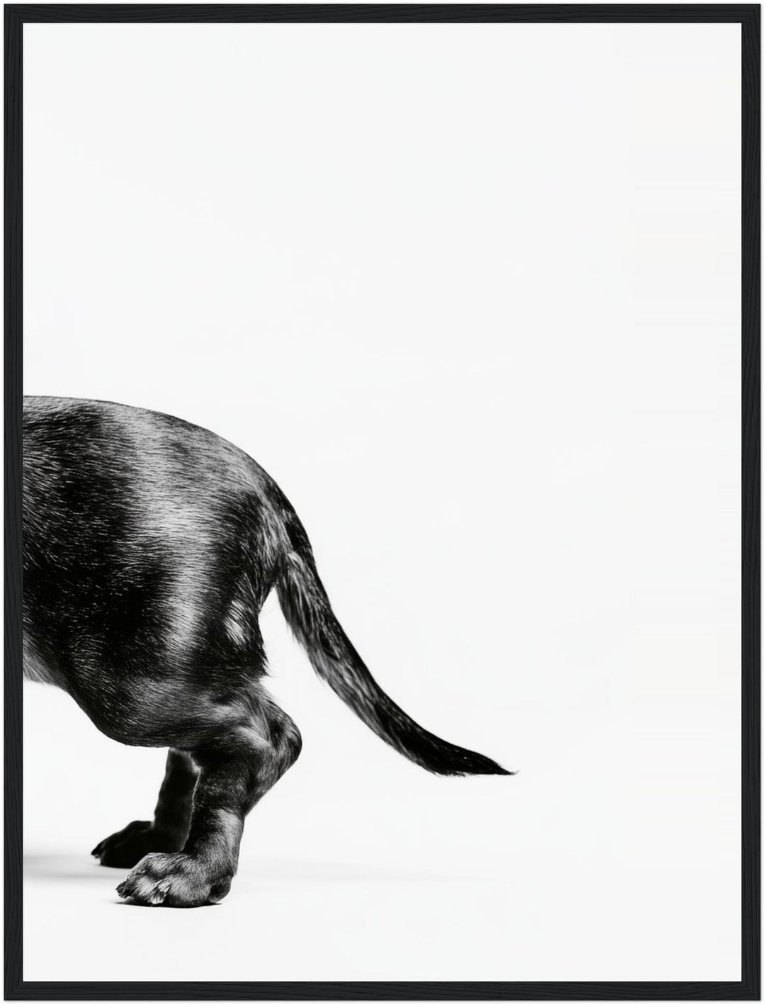 Dackel Hinterteil in Bewegung Poster – Schwarzer Rahmen – Wohnzimmer Mockup