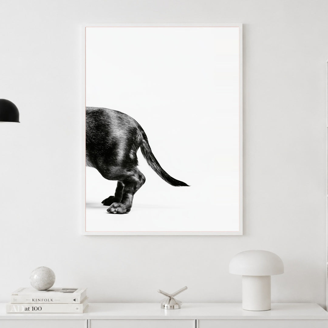 Dackel Hinterteil in Bewegung Poster – Weißer Rahmen – Wohnzimmer Mockup