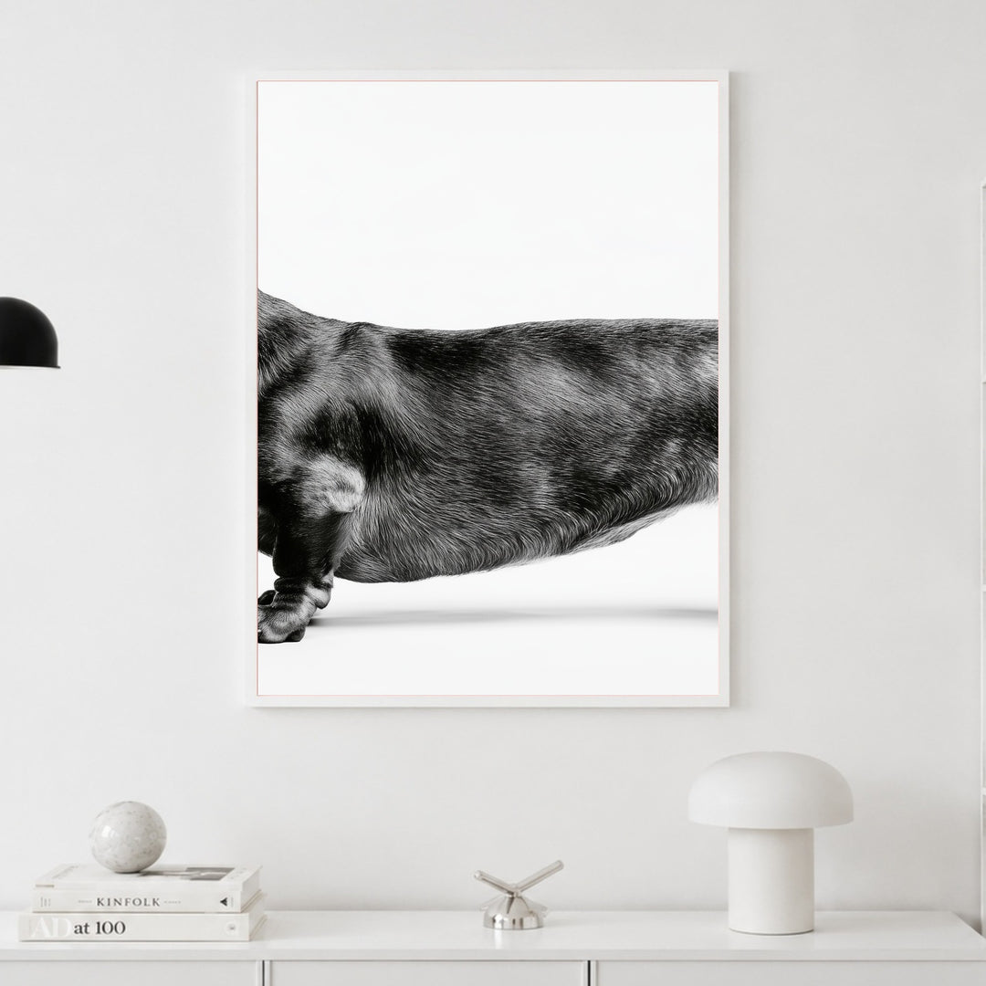 Dackel Mitte schwarz-weiß Poster – Weißer Rahmen – Produktfoto