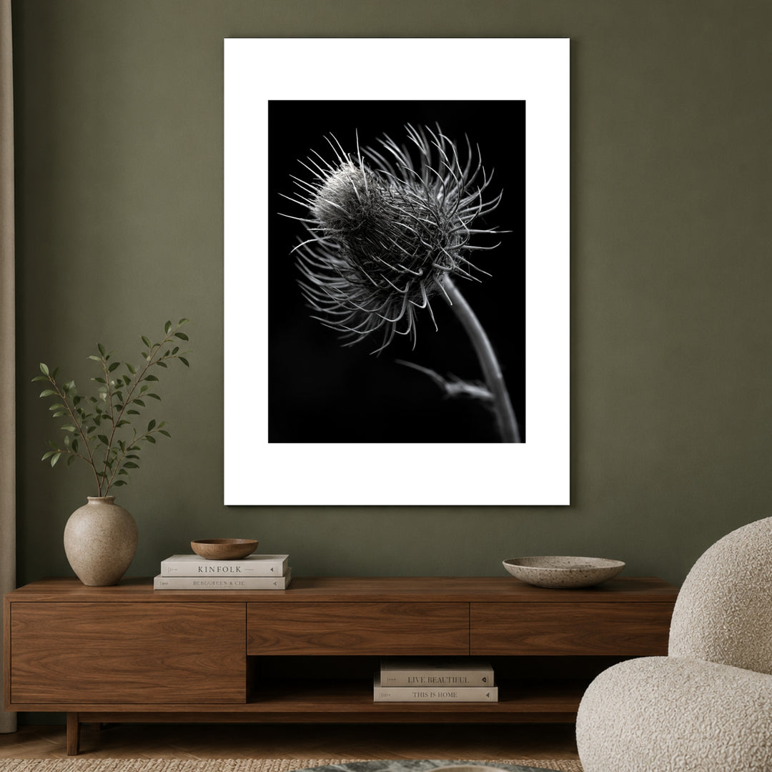 distel-nahaufnahme Poster – Ohne Rahmen – Produktfoto