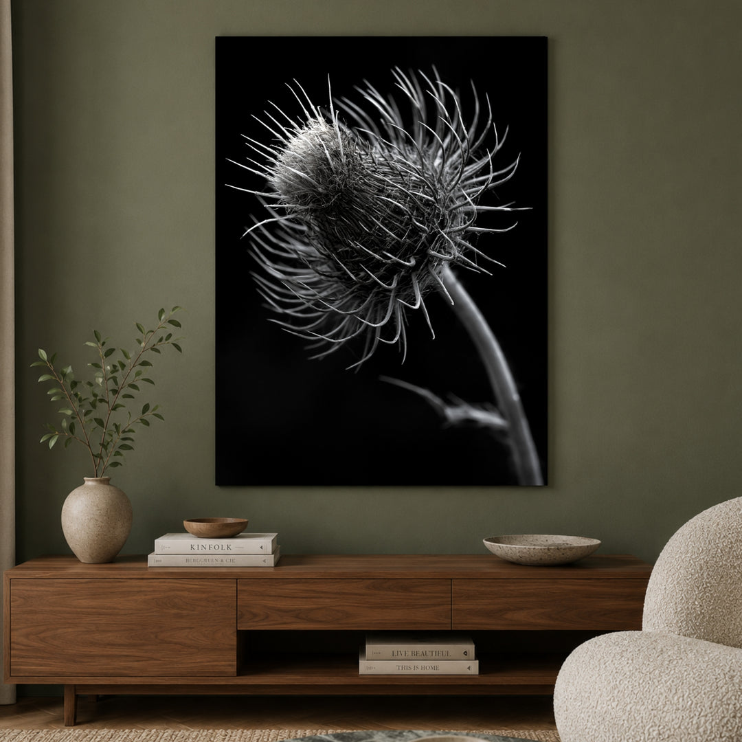 distel-nahaufnahme Leinwandbild – Ohne Rahmen – Produktfoto