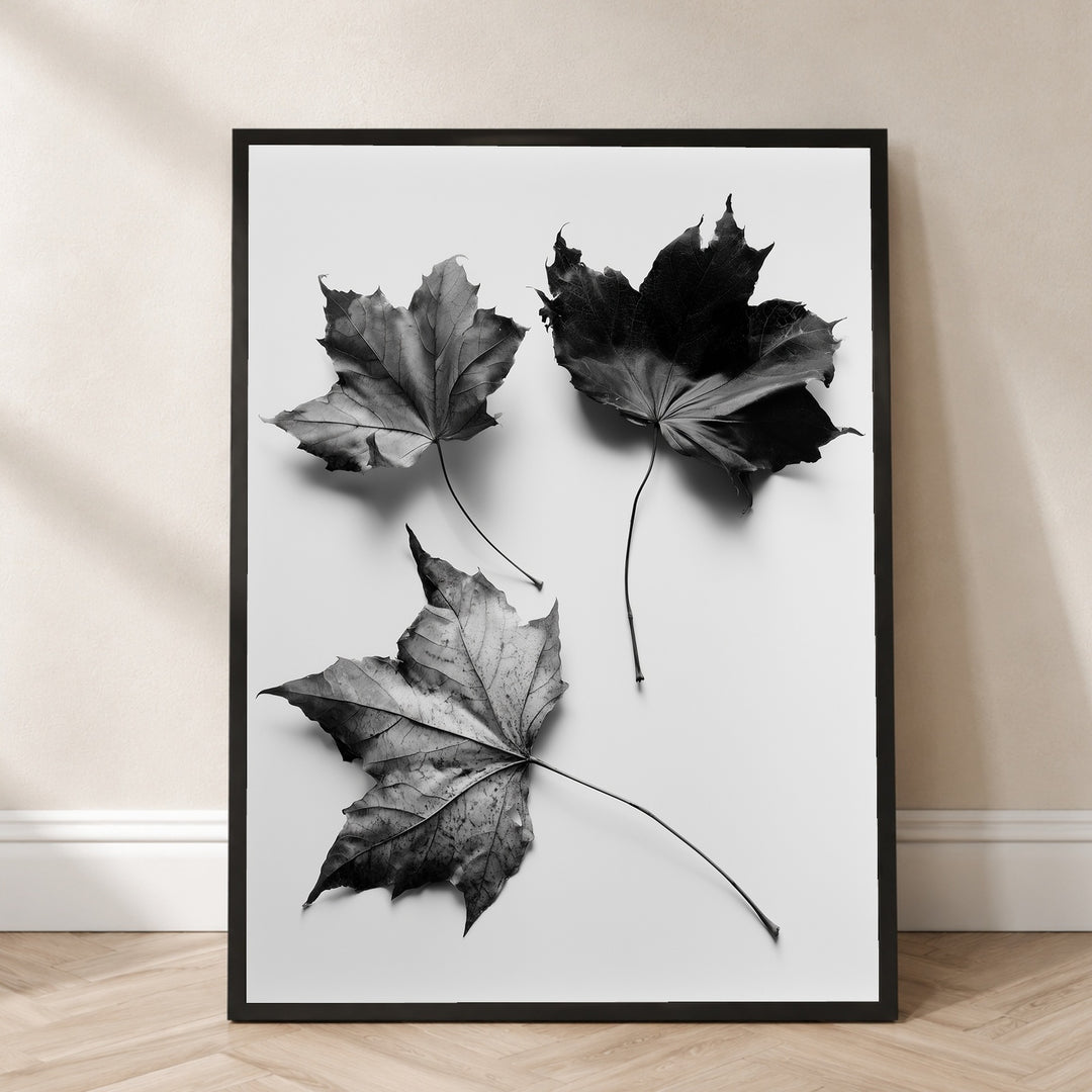 Drei Ahornblätter Schwarz-Weiß Poster – Schwarzer Rahmen – Produktfoto