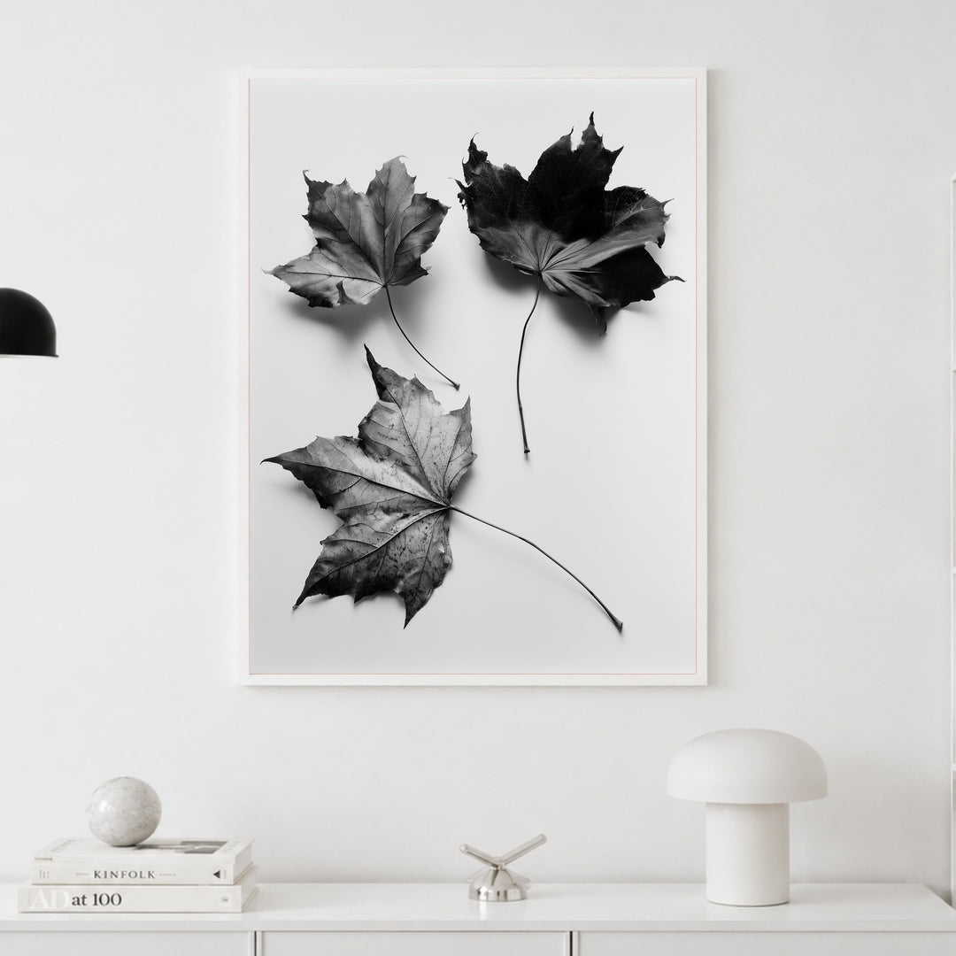 Drei Ahornblätter Schwarz-Weiß Poster – Weißer Rahmen – Produktfoto