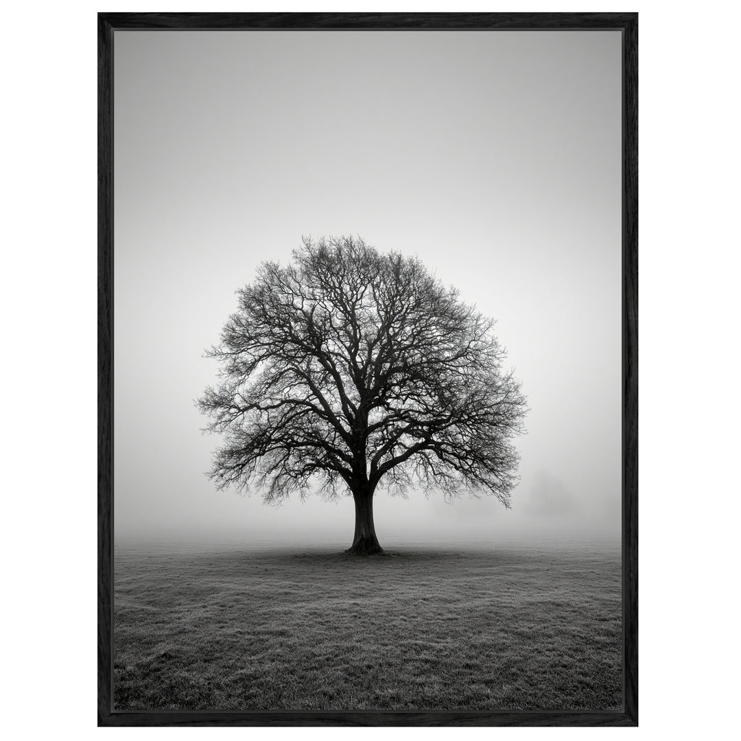Einsame Eiche im Nebel Leinwandbild – Leinwandbild