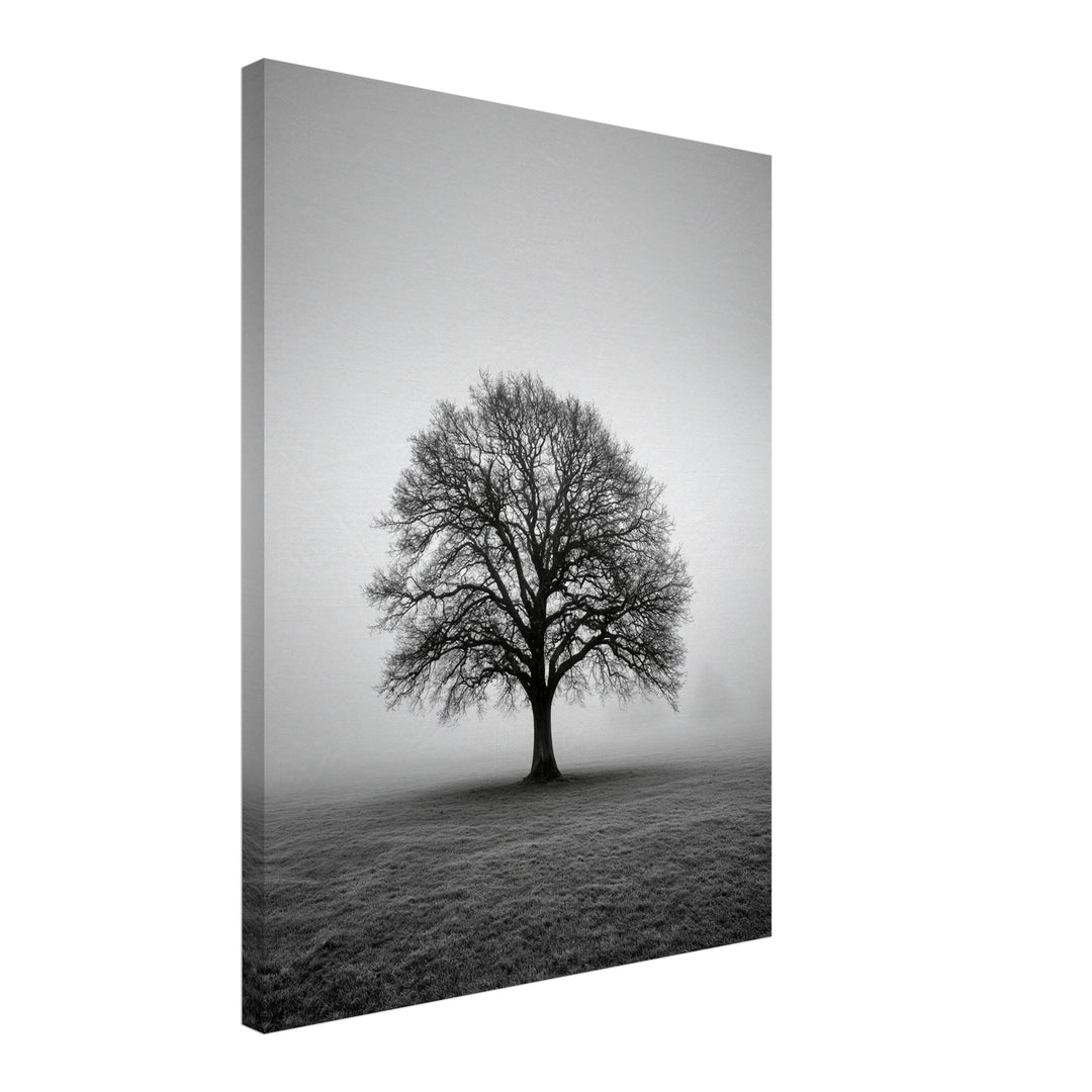 Einsame Eiche im Nebel Leinwandbild – Schräge Ansicht – Produktfoto