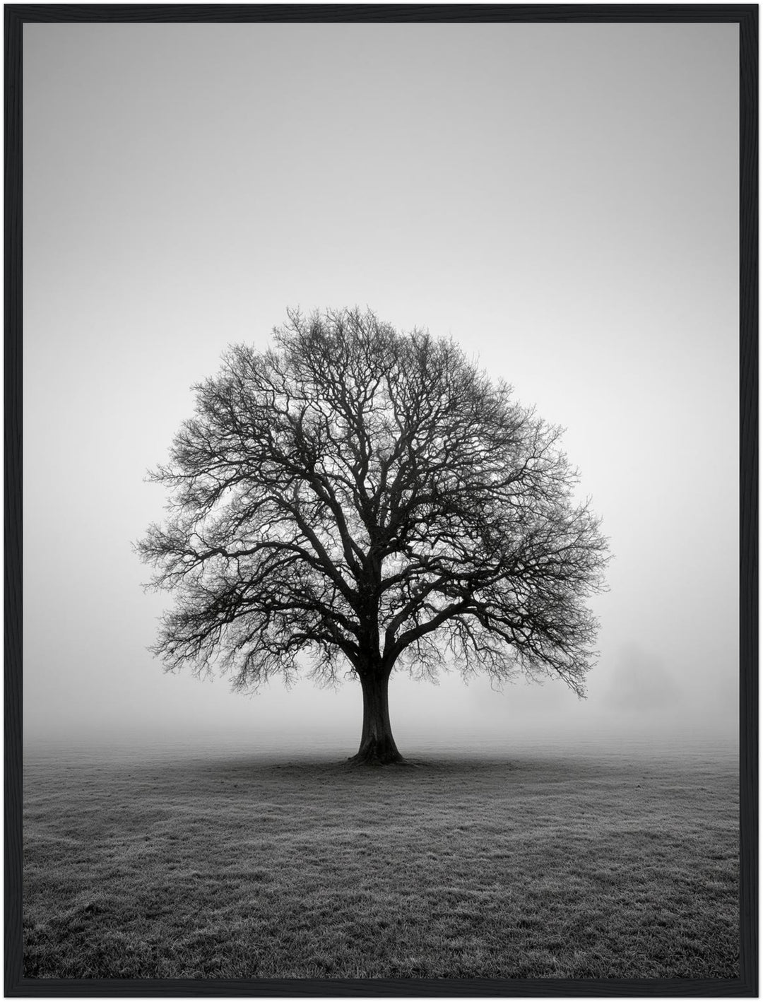 Einsame Eiche im Nebel Poster – Schwarzer Rahmen – Produktfoto