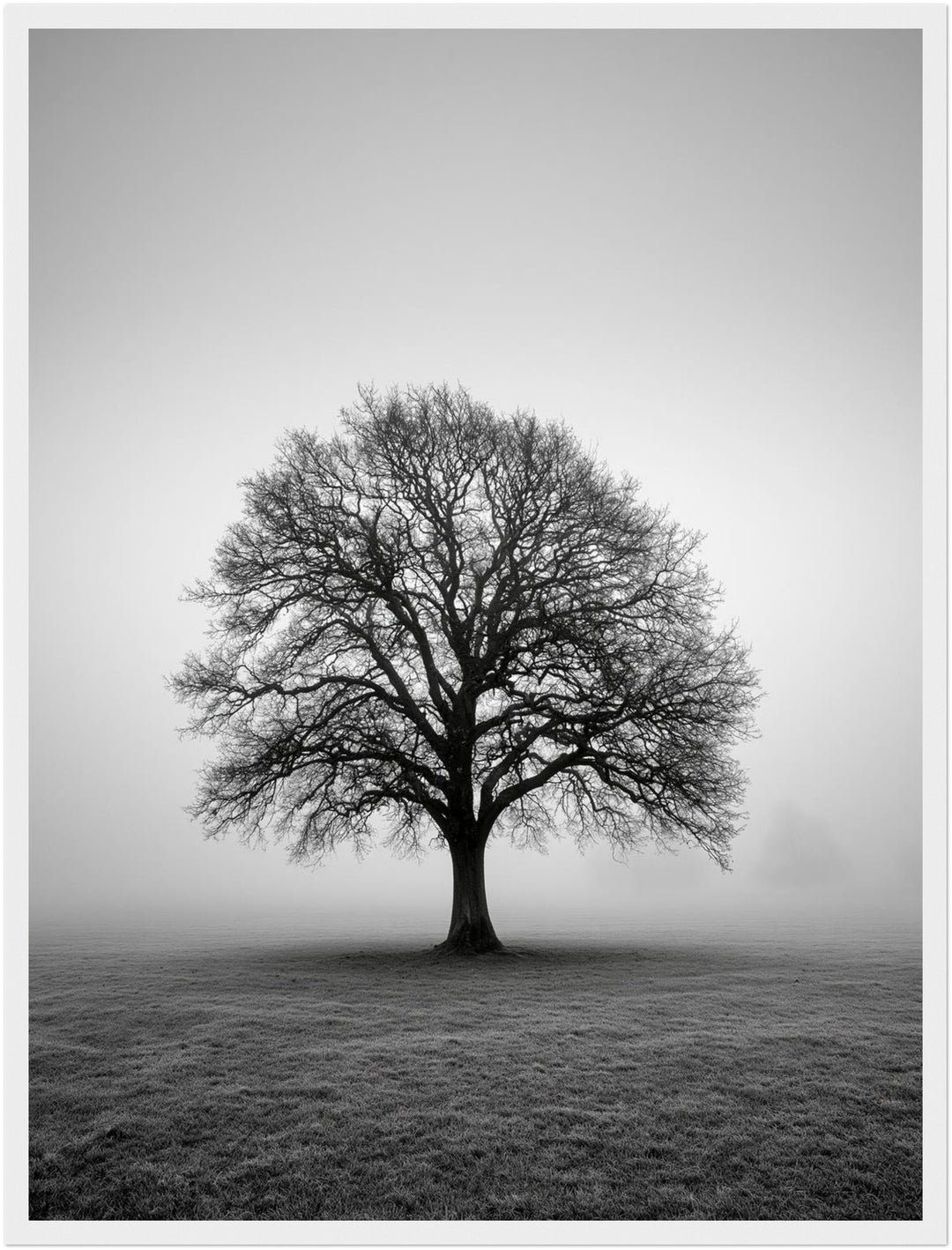 Einsame Eiche im Nebel Poster – Weißer Rahmen – Produktfoto